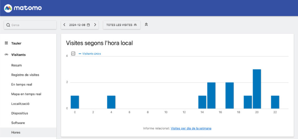 Manual de Matomo: com mantenir les analítiques al dia 7